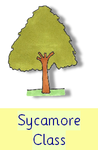 Sycamore curriculum leaflet spring year 6.pdf