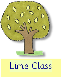 LIME - Curriculum overview Spring 2024.pdf
