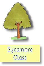 Sycamore autumn curriculum overview 2025.pdf