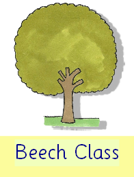 Beech Class Curriculum Overview Autumn 2023.pub.pdf